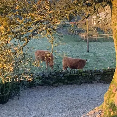 Hall Farm Cottage *